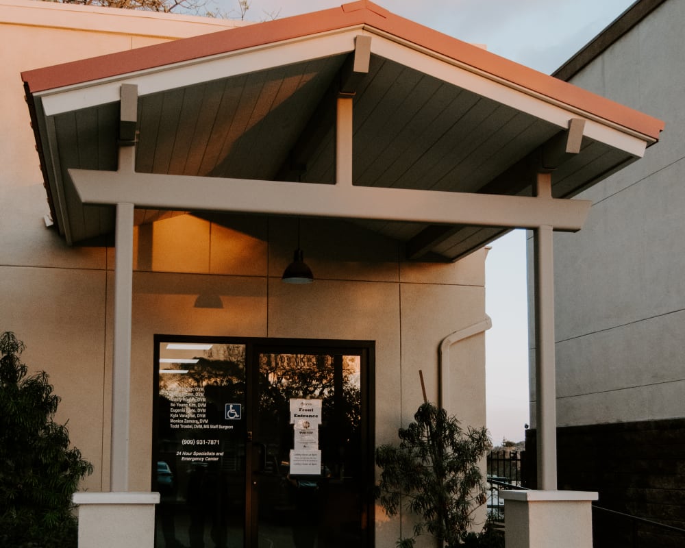 Inland Valley Veterinary Specialists & Emergency Center in Upland