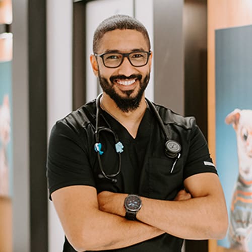 Dr. Youssef Sherif, Upland Veterinarian